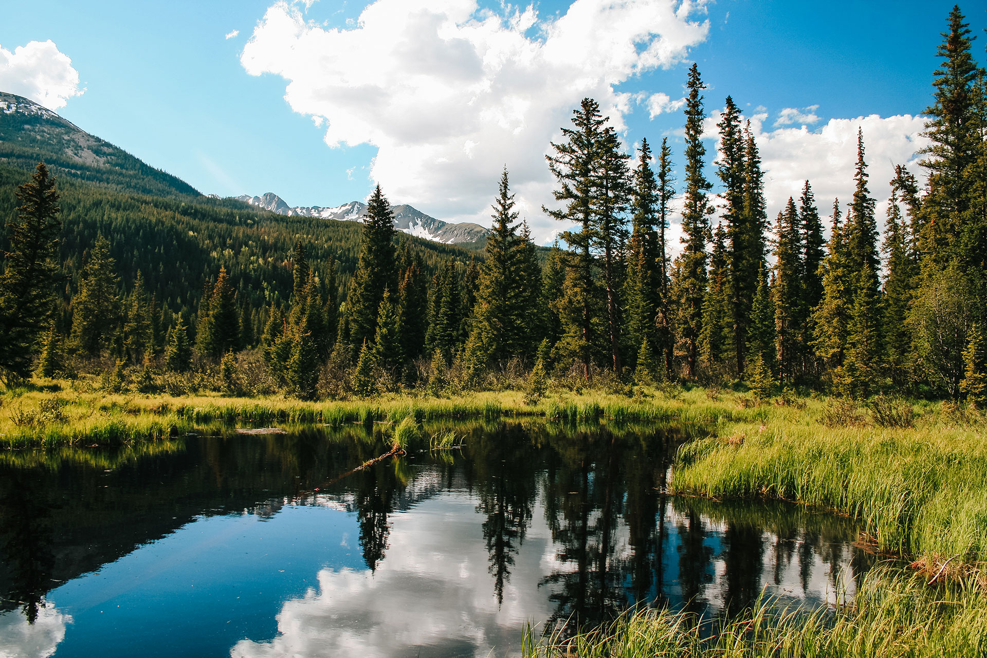 The image depicts a serene mountain landscape with a clear blue sky, lush green trees, and a calm lake reflecting the surrounding scenery.